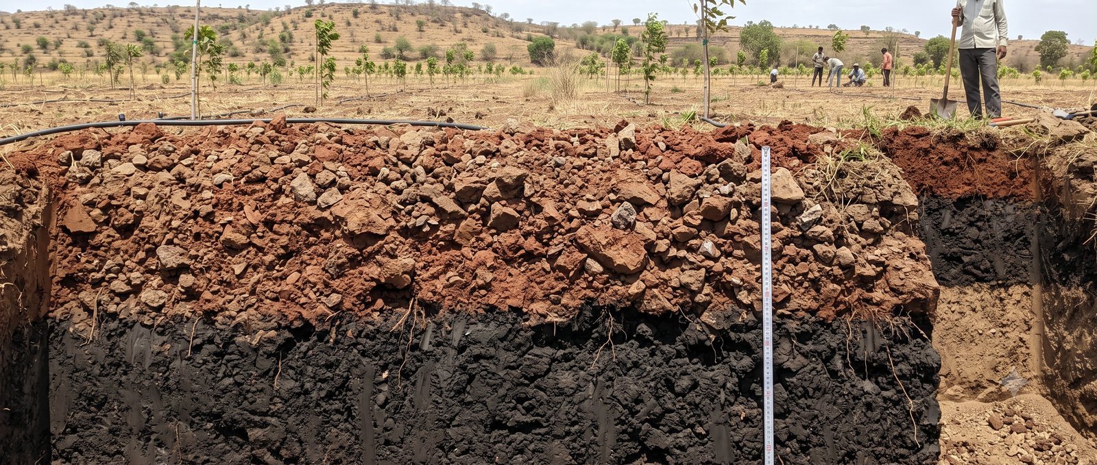 Excavated soil profile at Dantali showing the rocky, stony upper layer over dark black moisture-rich soil