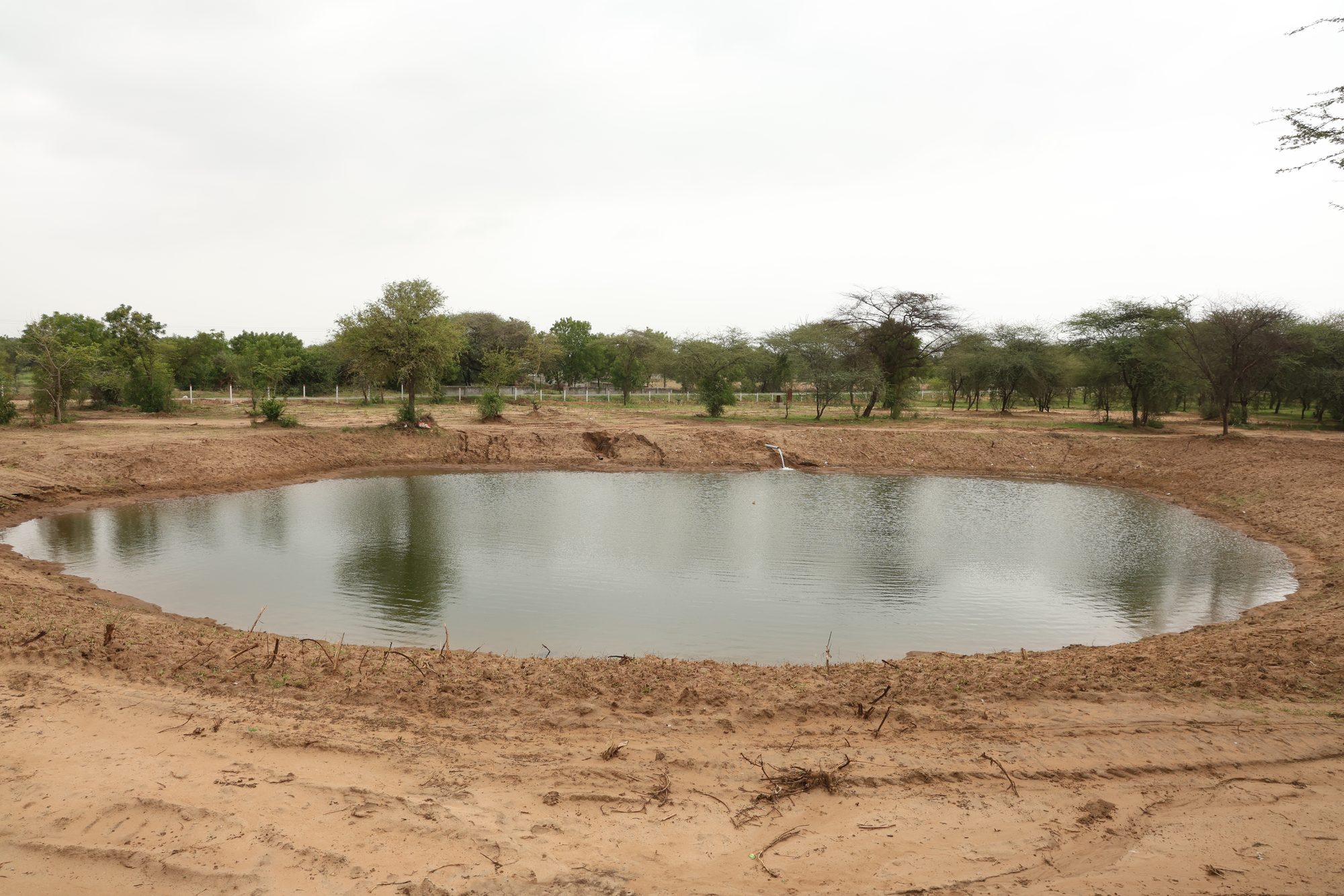The restored rainwater lake at Jaspur Oxygen Park, ringed by native trees
