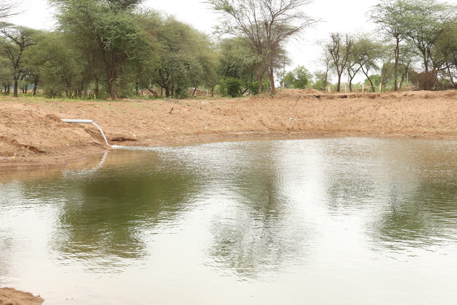The excavated rainwater lake at Jaspur holding water, framed by native trees