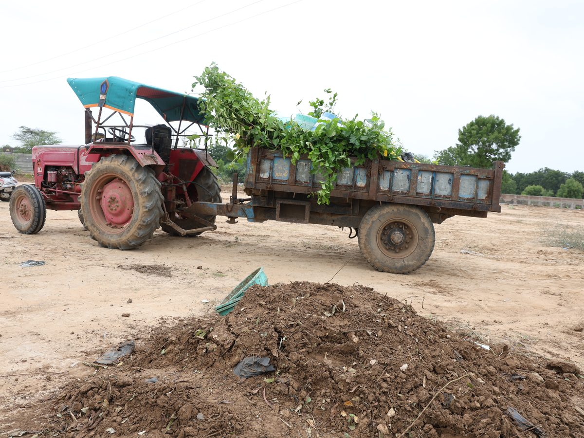 Native saplings arriving by tractor for planting at Lapkaman